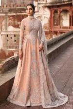 Peach Gray Unstitched Embroidered Organza Long Gown by Mehak | E-809 - Patel Brothers NX 8