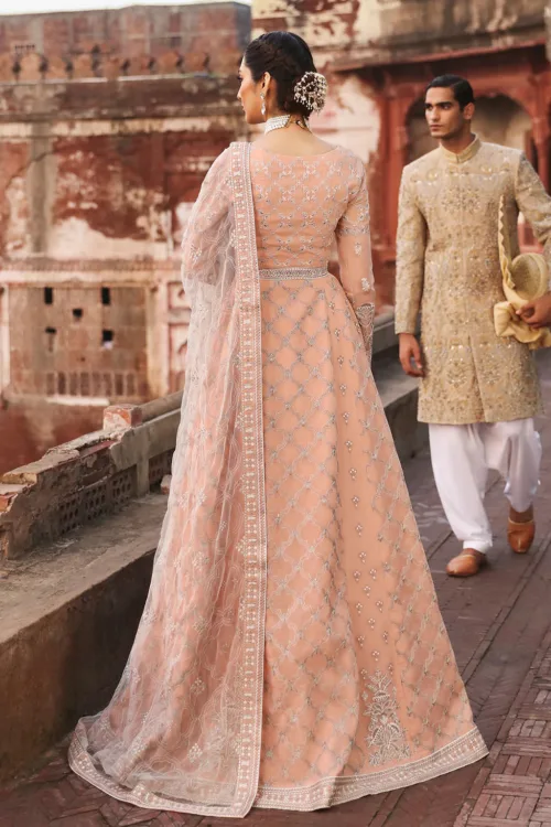 Peach Gray Unstitched Embroidered Organza Long Gown by Mehak | E-809 - Patel Brothers NX 2