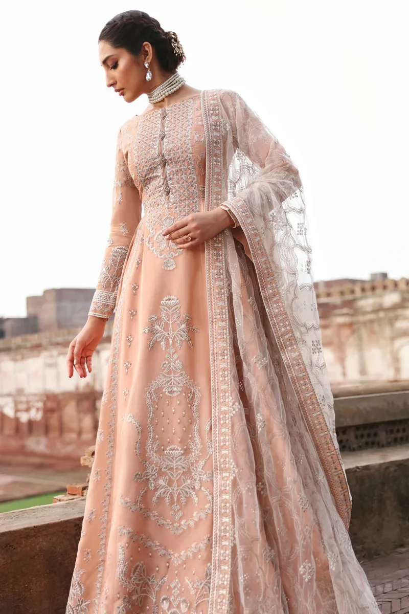 Peach Gray Unstitched Embroidered Organza Long Gown by Mehak | E-809 - Patel Brothers NX 7