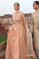 Peach Gray Unstitched Embroidered Organza Long Gown by Mehak | E-809 - Patel Brothers NX 10