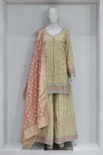 Pure Shimmer Tissue Beige Gold Suit – Traditional Elegance with Handcrafted Details  |  3586 A - Patel Brothers NX 8