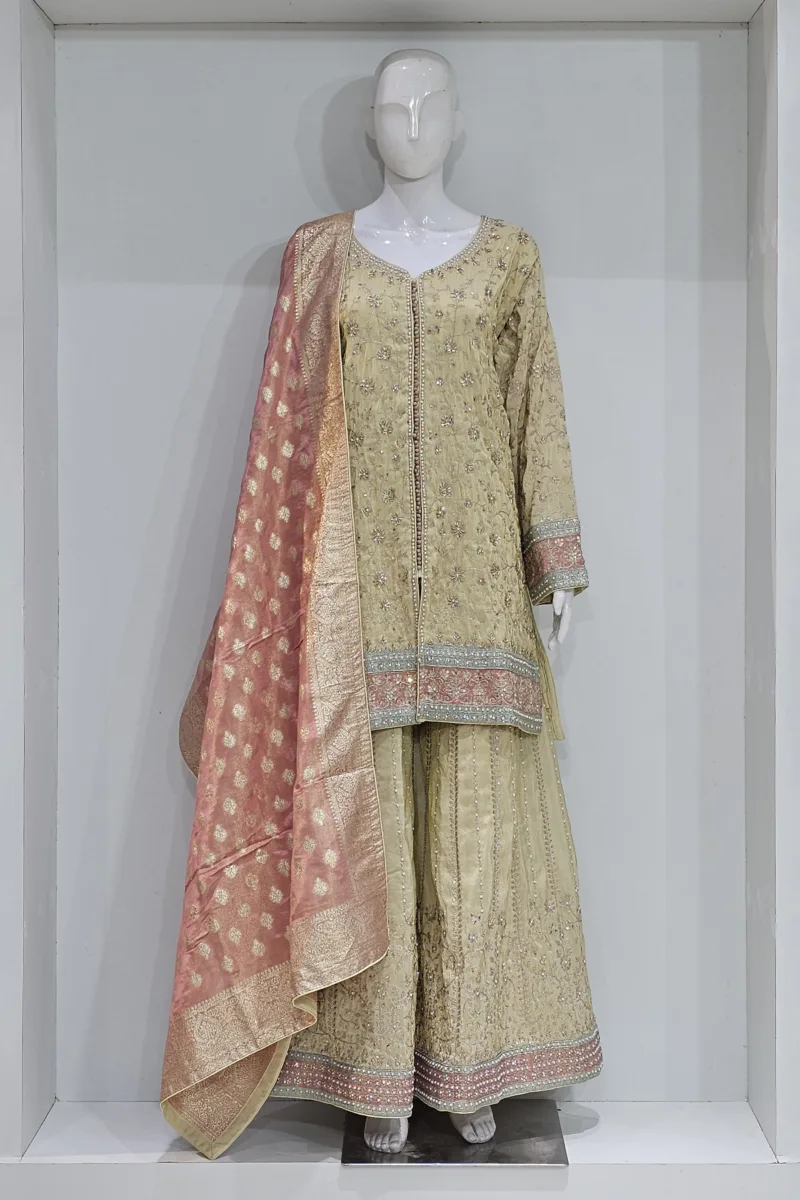 Pure Shimmer Tissue Beige Gold Suit – Traditional Elegance with Handcrafted Details  |  3586 A - Patel Brothers NX 3