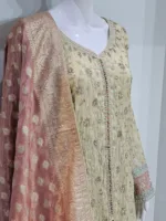 Pure Shimmer Tissue Beige Gold Suit – Traditional Elegance with Handcrafted Details  |  3586 A - Patel Brothers NX 9