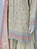 Pure Shimmer Tissue Beige Gold Suit – Traditional Elegance with Handcrafted Details  |  3586 A - Patel Brothers NX 12