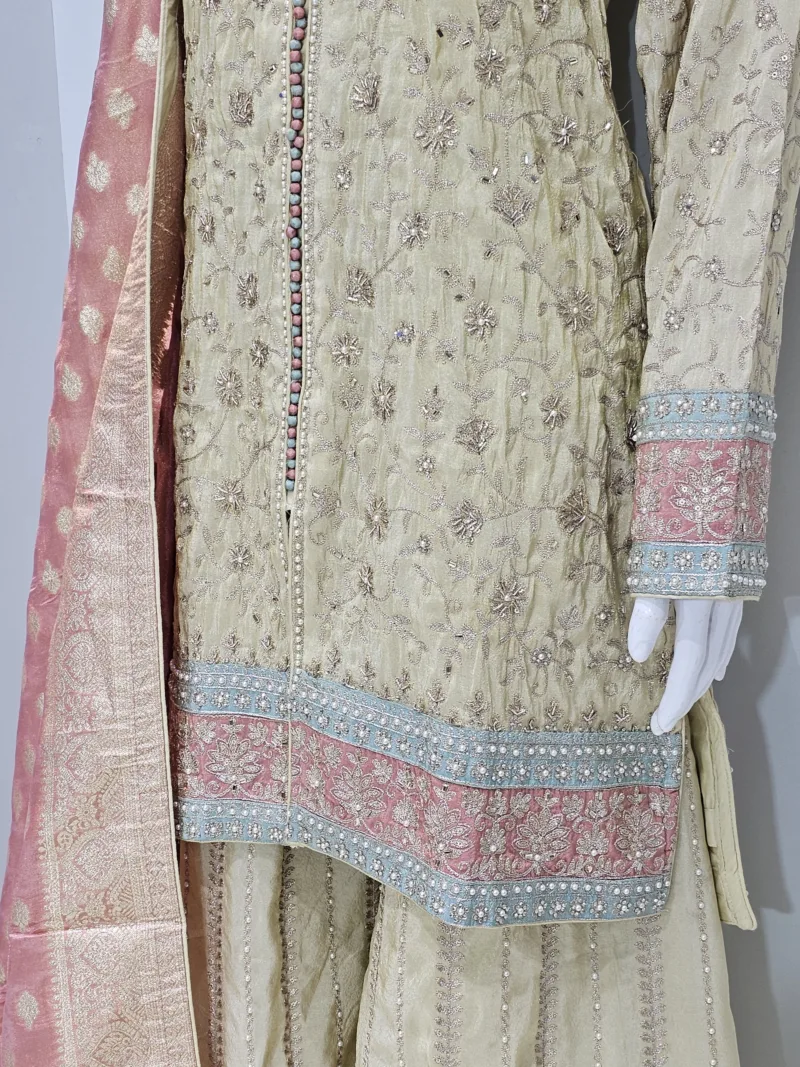 Pure Shimmer Tissue Beige Gold Suit – Traditional Elegance with Handcrafted Details  |  3586 A - Patel Brothers NX 7