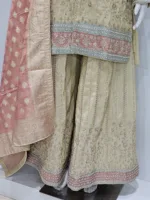 Pure Shimmer Tissue Beige Gold Suit – Traditional Elegance with Handcrafted Details  |  3586 A - Patel Brothers NX 11
