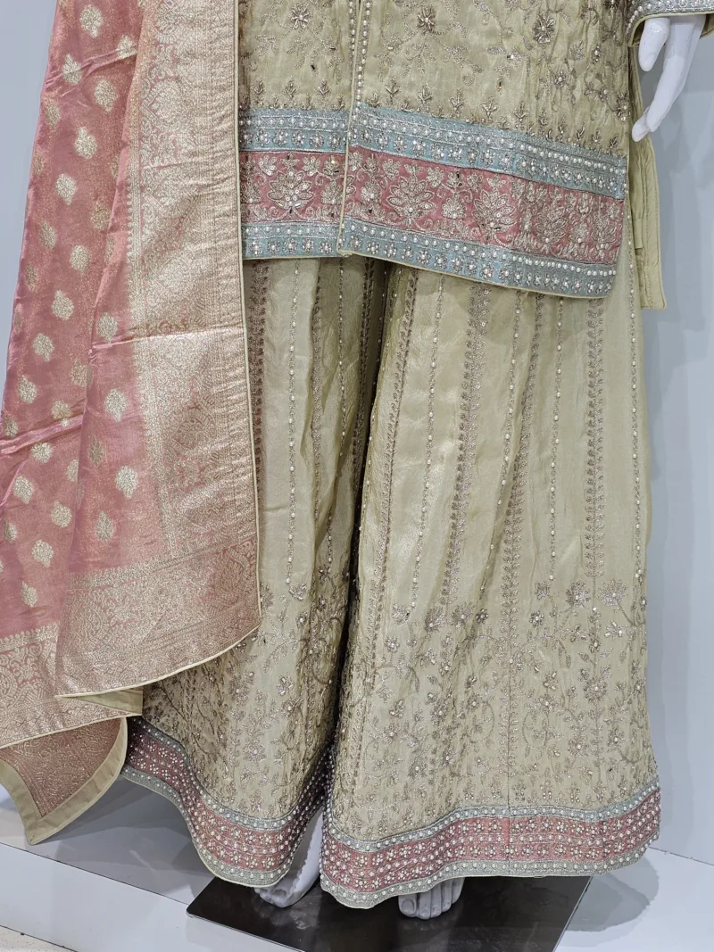 Pure Shimmer Tissue Beige Gold Suit – Traditional Elegance with Handcrafted Details  |  3586 A - Patel Brothers NX 6
