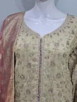 Pure Shimmer Tissue Beige Gold Suit – Traditional Elegance with Handcrafted Details  |  3586 A - Patel Brothers NX 10