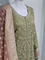 Pure Shimmer Tissue Pista Gold Suit – Traditional Elegance with Handcrafted Details  |  3586 B - Patel Brothers NX 9