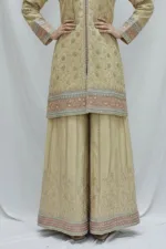 Pure Shimmer Tissue Beige Gold Suit – Traditional Elegance with Handcrafted Details  |  3586 A - Patel Brothers NX 15