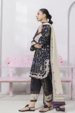 Qalamkar Qprints 25 – EM-09 (B) PAIGE | Embroidered Lawn Suit with Printed Chiffon Dupatta - Patel Brothers NX 10