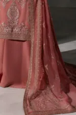 Pastel Tangy Hand-Embroidered Chiffon Suit | LA-907 - Patel Brothers NX 20