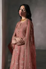 Pastel Tangy Hand-Embroidered Chiffon Suit | LA-907 - Patel Brothers NX 18
