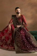 Cherry Red Organza Long Anarkali Frock with Olive Green Contrast Dupatta & Hand Embellished Details | LA-909 - Patel Brothers NX 16