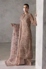 Rose Pink Embroidered Chiffon Long Straight Pakistani Suit with Contrast Net Dupatta | LA-910 - Patel Brothers NX 11