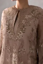 Rose Pink Embroidered Chiffon Long Straight Pakistani Suit with Contrast Net Dupatta | LA-910 - Patel Brothers NX 12