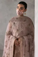 Rose Pink Embroidered Chiffon Long Straight Pakistani Suit with Contrast Net Dupatta | LA-910 - Patel Brothers NX 16