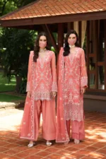 K-102 - Patel Brothers NX 11